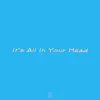 Sk8trBoy17 - It's All In Your Head - Single